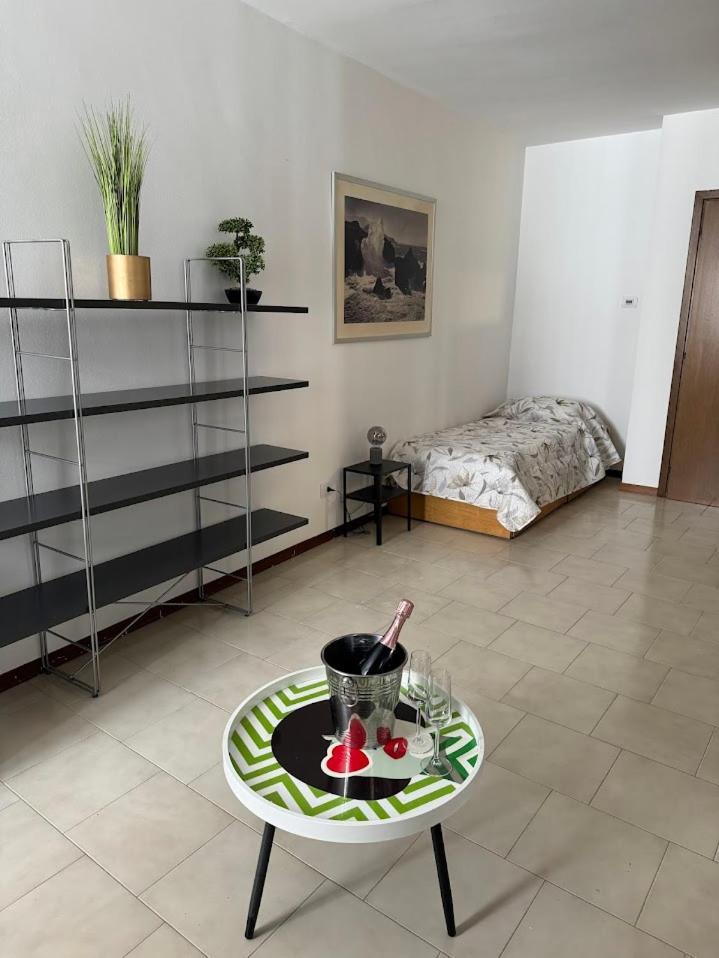 La Torretta Apartment Peschiera del Garda Zewnętrze zdjęcie